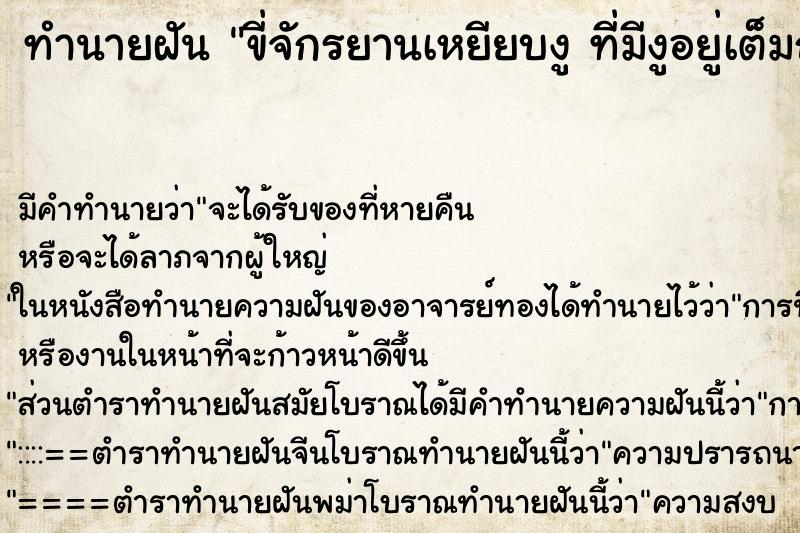 ทำนายฝันขี่จักรยานเหยียบงูที่มีงูอยู่เต็มถนน ทำนายฝันทำนายฝันขี่จักรยานเหยียบงูที่มีงูอยู่เต็มถนน